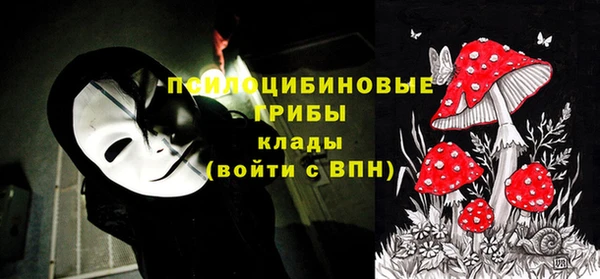 гидра Михайлов