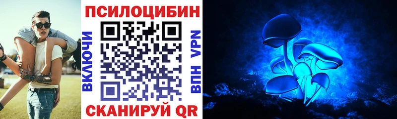 Псилоцибиновые грибы MAGIC MUSHROOMS  купить наркотики цена  Чебоксары 