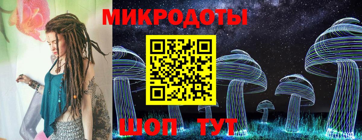 Чебоксары  Псилоцибиновые грибы прущие грибы  Вход с VPN 